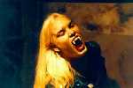 vamp_small.jpg (2799 Byte)